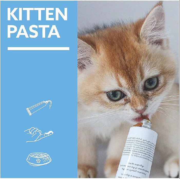 خمیر بچه گربه جیم کت کمک به رشد سالم مدل کیتن وزن 50 گرم GimCat Kitten Paste — تصویر ۲