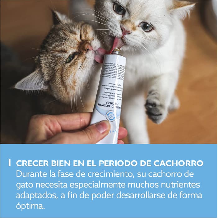 خمیر بچه گربه جیم کت کمک به رشد سالم مدل کیتن وزن 50 گرم GimCat Kitten Paste — تصویر ۳