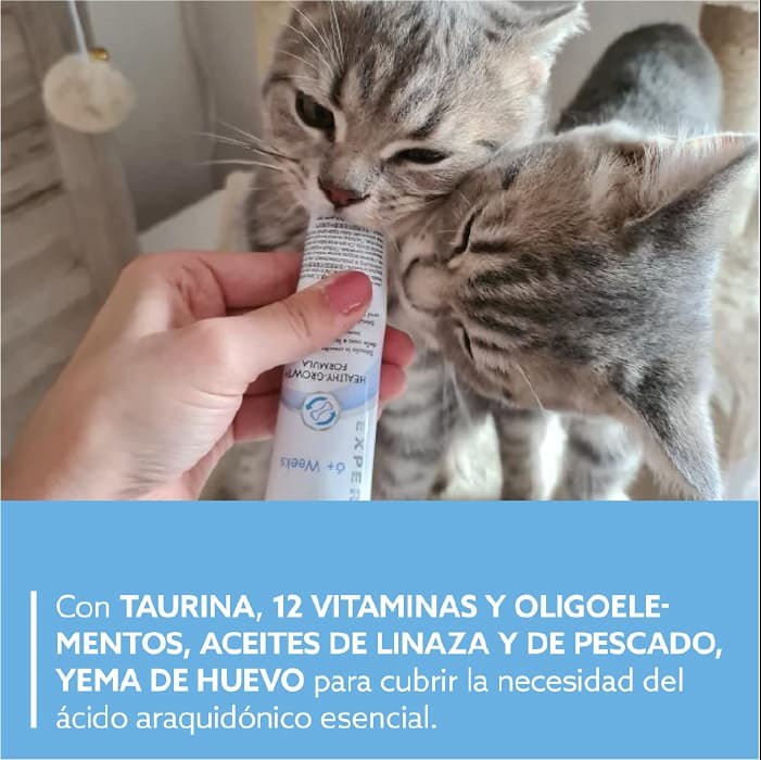 خمیر بچه گربه جیم کت کمک به رشد سالم مدل کیتن وزن 50 گرم GimCat Kitten Paste — تصویر ۵