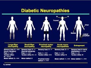 دانلود کتاب Definition and diagnostic criteria of clinical obesity