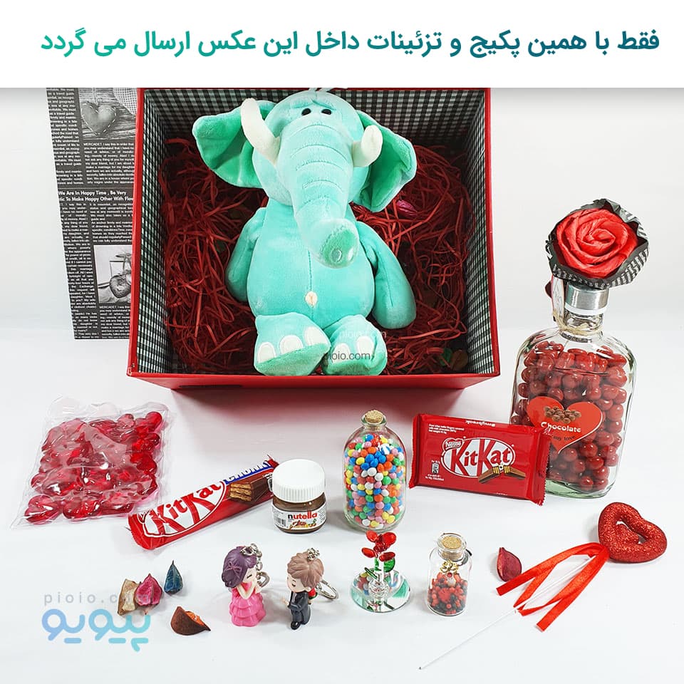 هدیه خاص ولنتاین با عروسک فیل شکمو — تصویر ۶