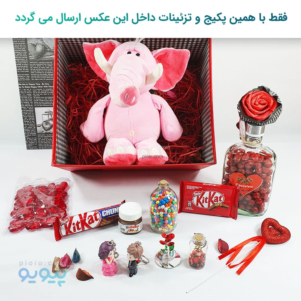 هدیه خاص ولنتاین با عروسک فیل شکمو — تصویر ۵