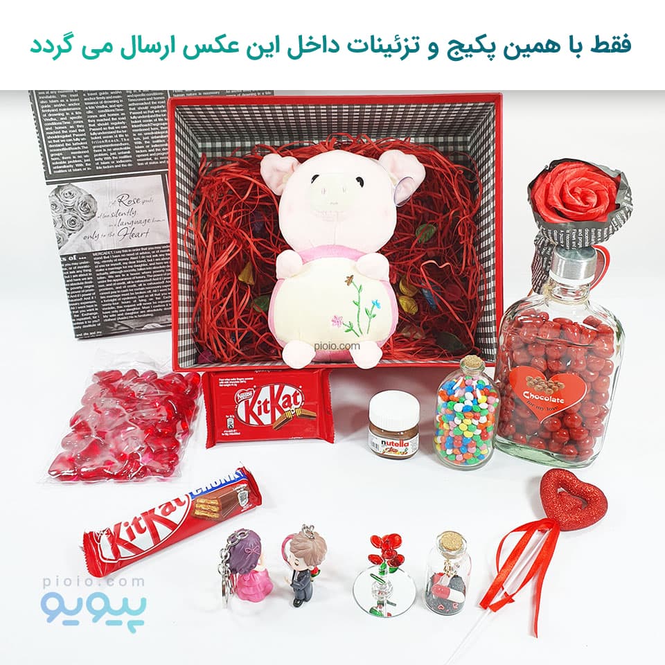 کادو بانمک ولنتاین با عروسک خوک گلدار — تصویر ۵