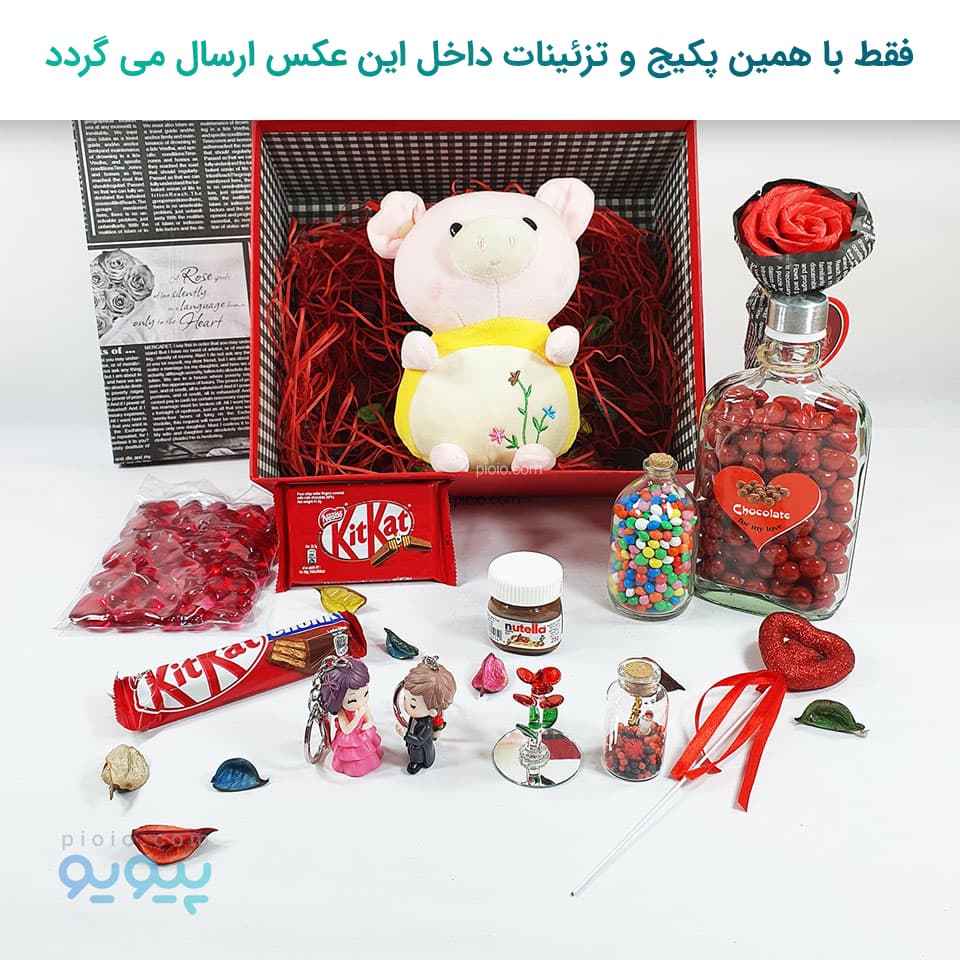 کادو بانمک ولنتاین با عروسک خوک گلدار — تصویر ۷