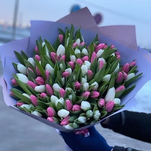 ارسال فوری گل برای کلینیک دکتر تهرانی جردن 7345