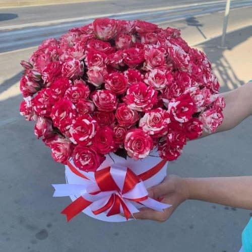 ارسال فوری گل برای کلینیک تهران کاشت 7323