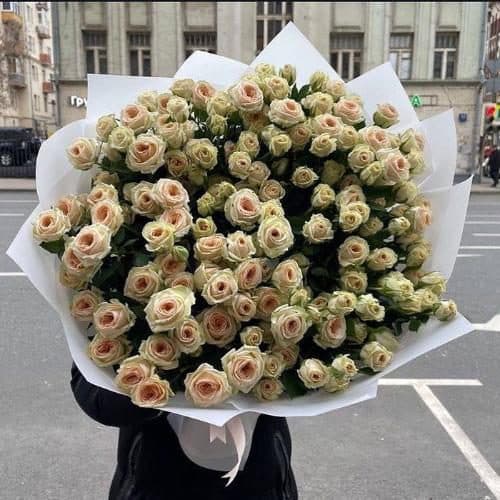 ارسال فوری گل برای جوابدهی آزمایشگاه نور تهران 7221