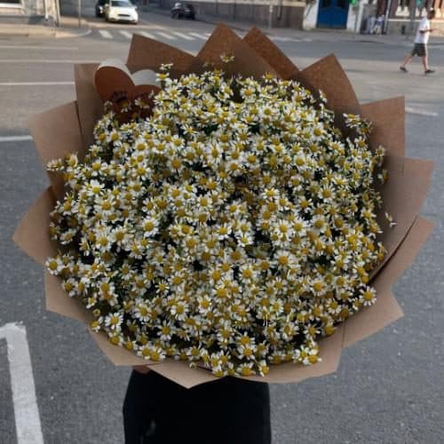 ارسال فوری گل برای بهترین باشگاه رزمی شرق تهران 7090