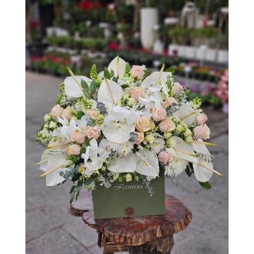 گل فروشی محدوده نمایندگی چرخ خیاطی ژانومه در تهران t5187