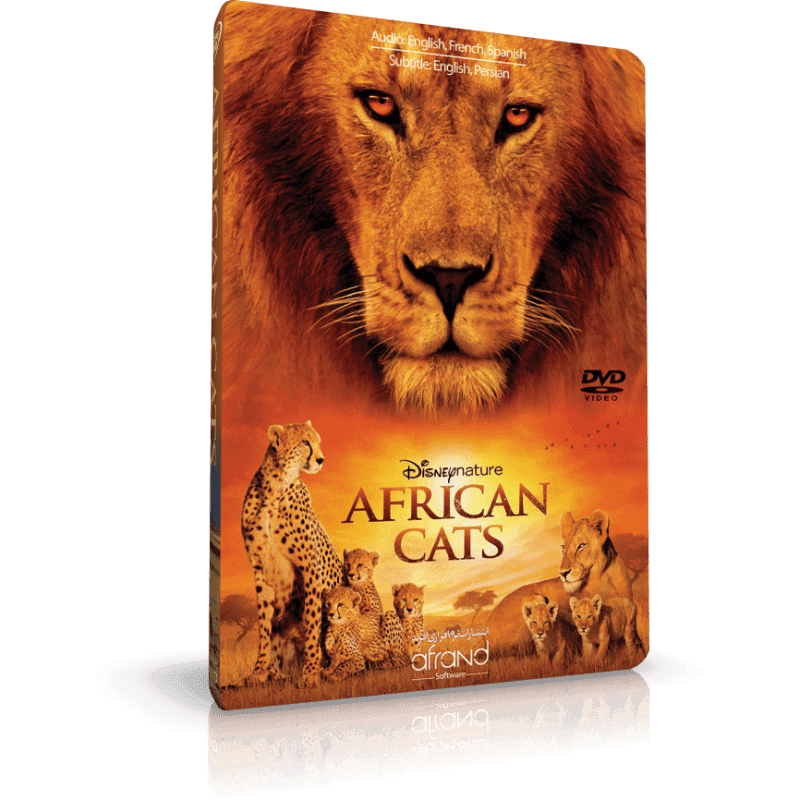 کتاب African Cats