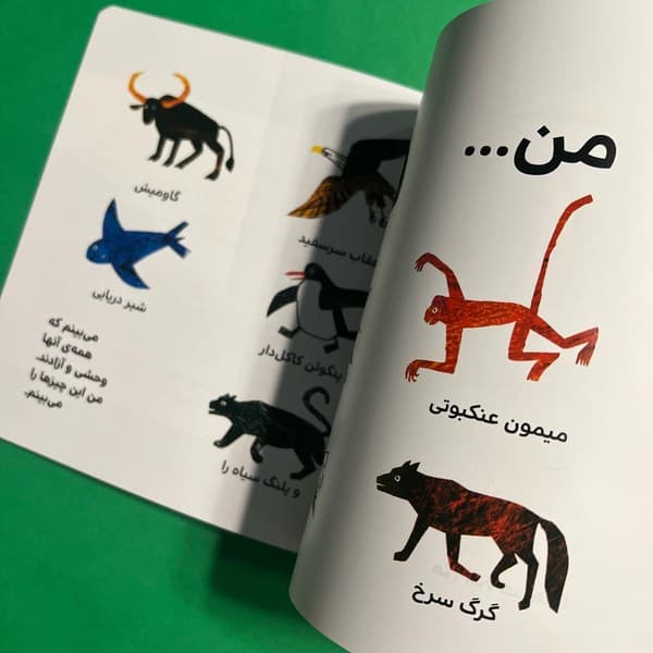 خرس پاندا، خرس پاندا چی می بینی؟ — تصویر ۴