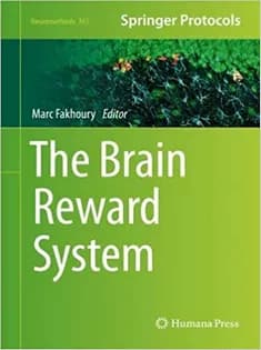 دانلود کتاب The Brain Reward System