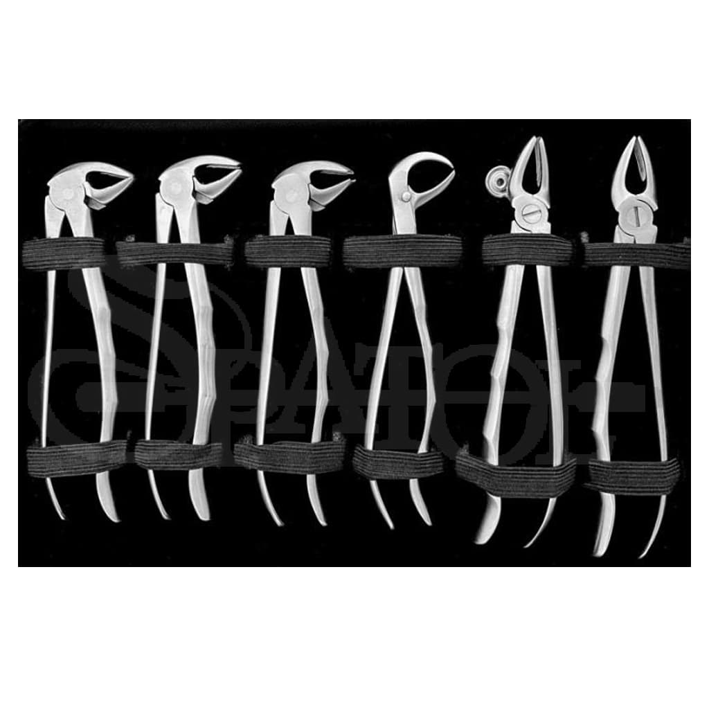 ست فورسپس بزرگسال Forceps Set برند کاریزما Charisma — تصویر ۳