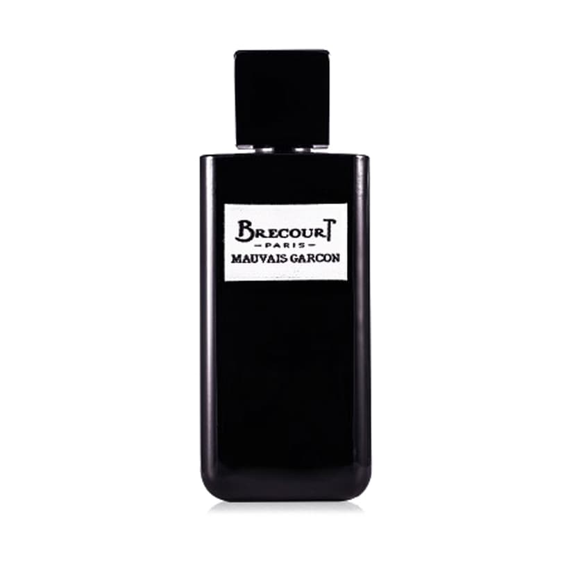 عطر ادکلن مردانه برکورت مدل موویز گارسون Brecourt Mauvais Garcon حجم ۱۰۰ میلی لیتر | Brecourt Mauvais Garcon Eau De Parfum For Men 100 ml