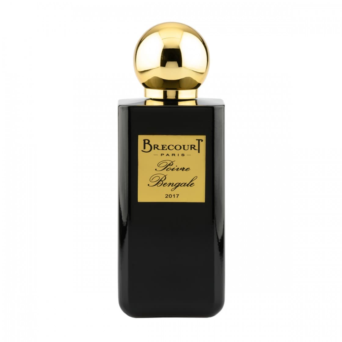 عطر ادکلن زنانه و مردانه برکورت مدل پویور بنگال Brecourt Poivre Bengale حجم ۱۰۰ میلی لیتر | Brecourt Poivre Bengale Eau De Parfum For Women and Men 100 ml