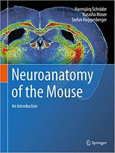 دانلود کتاب Neuroanatomy of the Mouse: An Introduction