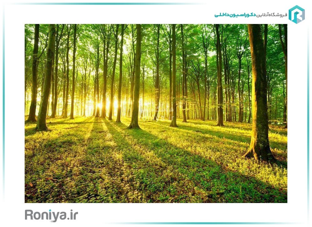 پوستر سه بعدی جنگل 3DF-511 — تصویر ۳