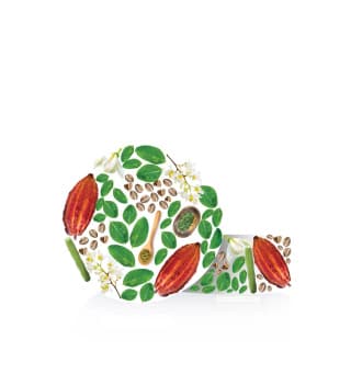 مورینگا/کرم دست ابرسان 2-خشک و حساس 250 میل — تصویر ۲