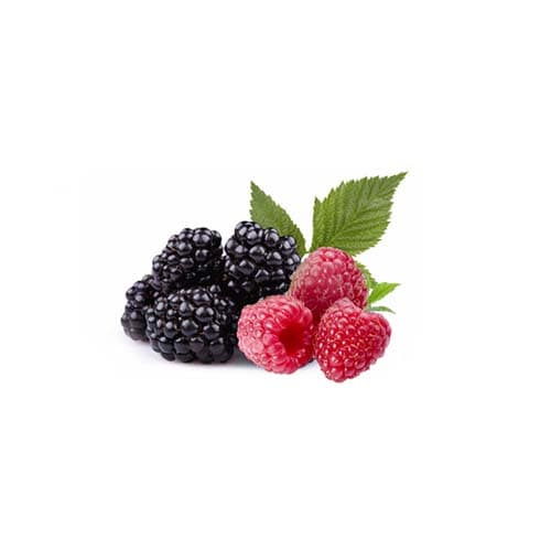 ژله پاستیل تمشکی راینو 500 گ لیوزا