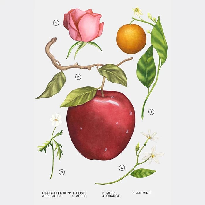 عطر زنانه زارا اپل جویس Applejuice حجم 100 میلی‌لیتر — تصویر ۳