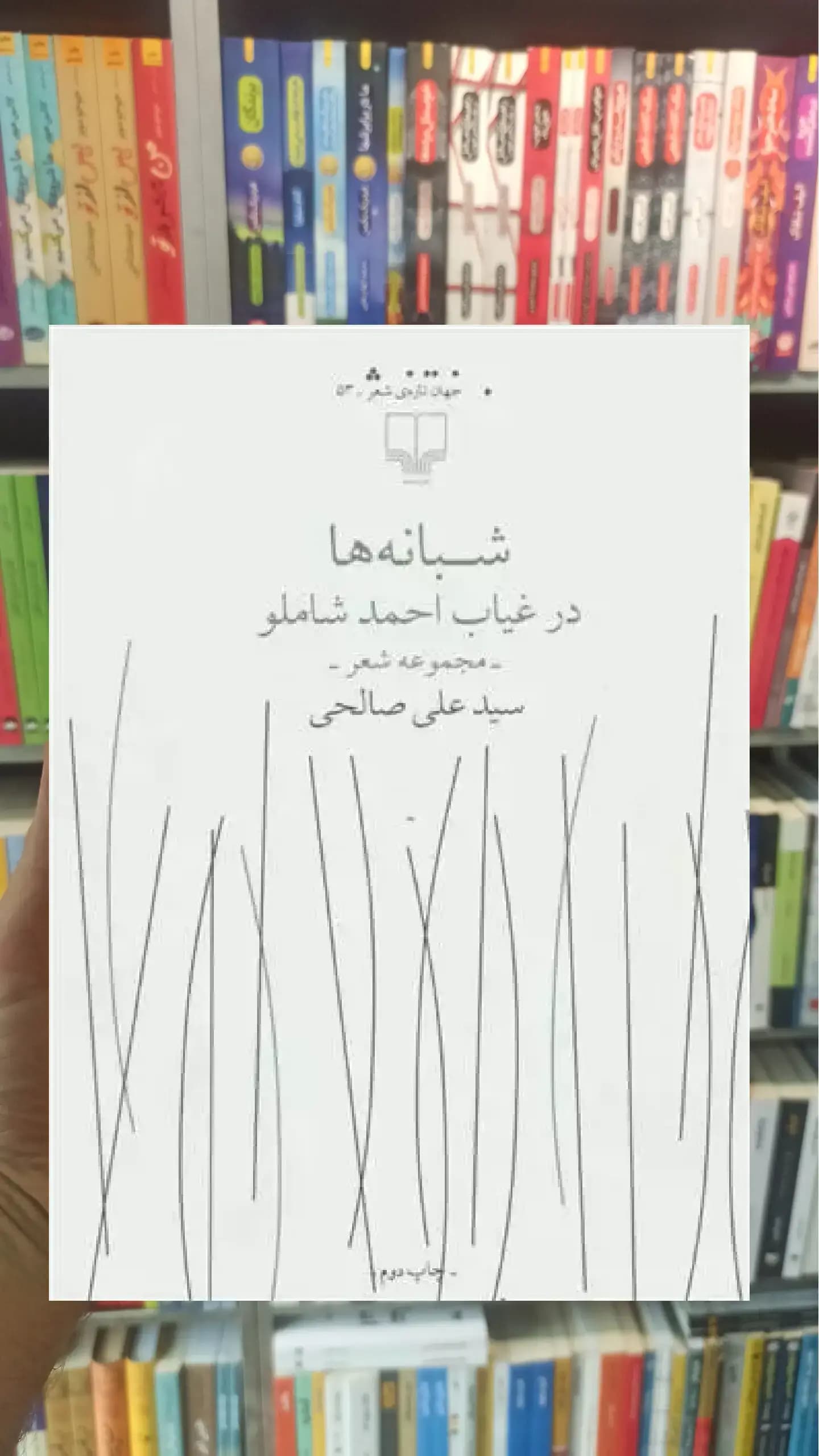 شبانه ها در غیاب احمد شاملو چشمه