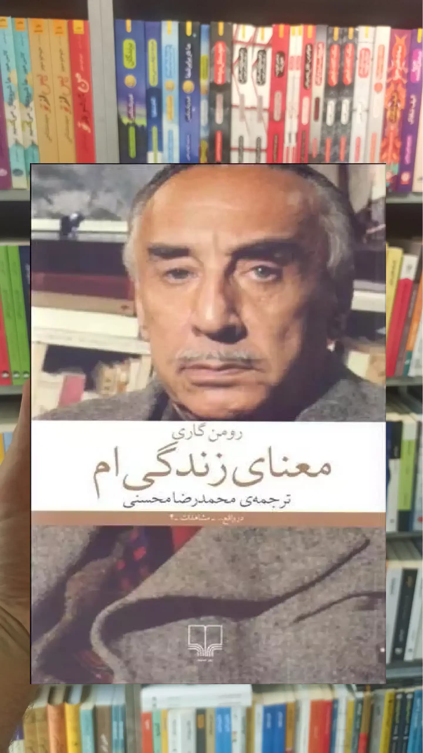 معنای زندگی ام چشمه