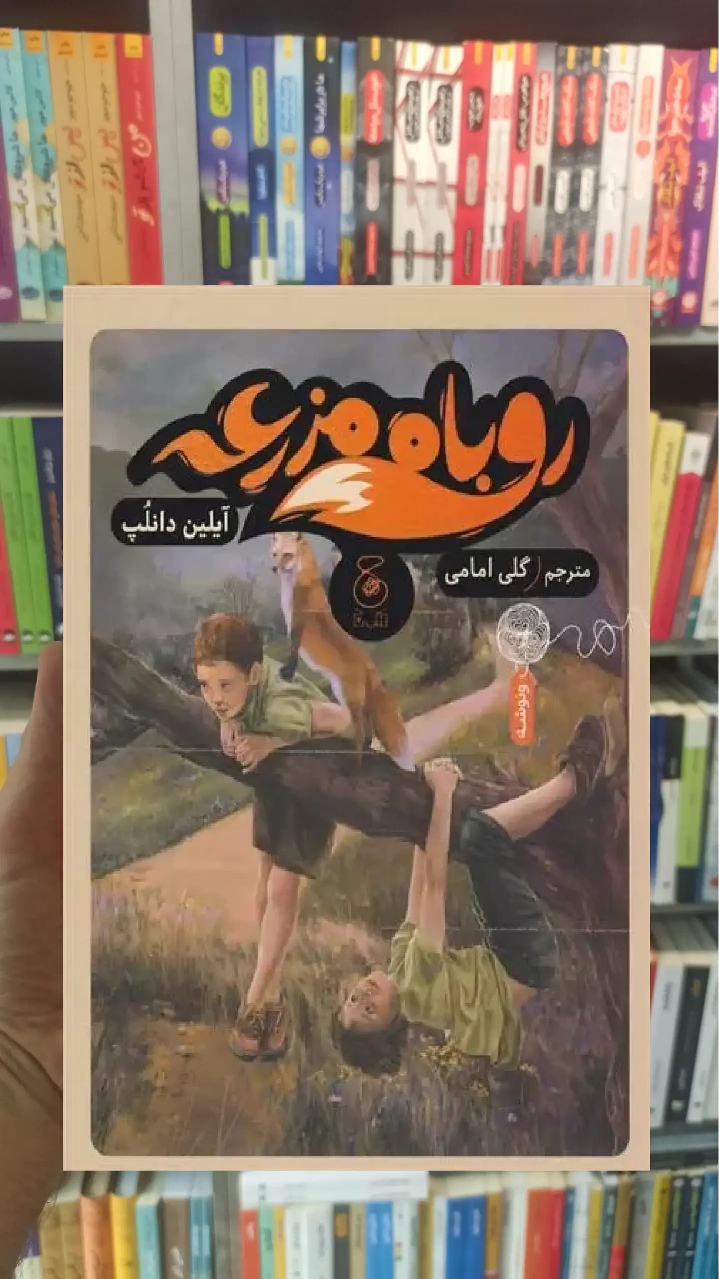 روباه مزرعه چشمه