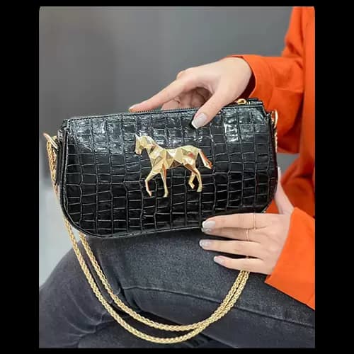 کیف مجلسی هرمس — تصویر ۲