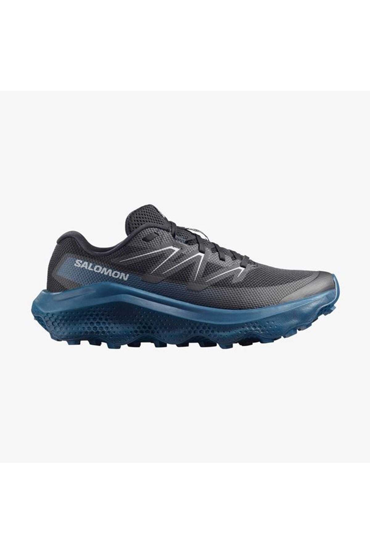 کفش بیرونی سالومون مردانه رنگارنگ راسته اسپرت | Salomon TX81C41A236478 AD