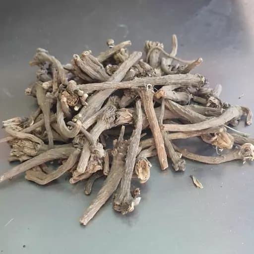 عاقرقرحا (ریشه ترخون کوهی، عاقرقرها) 75 گرم — تصویر ۲