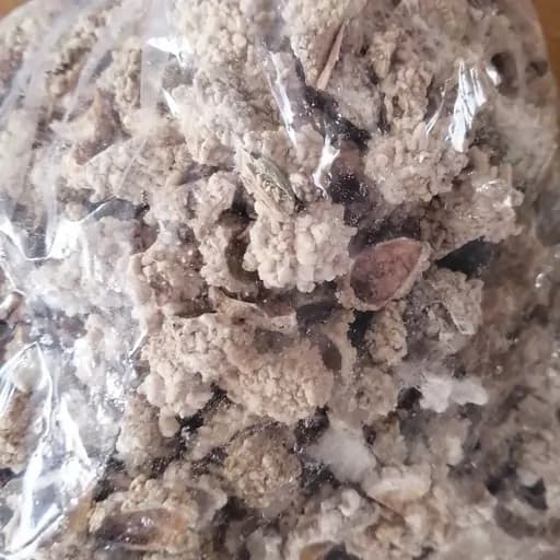 شکر تیغال 75 گرم