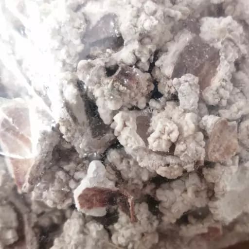 شکر تیغال 75 گرم — تصویر ۲