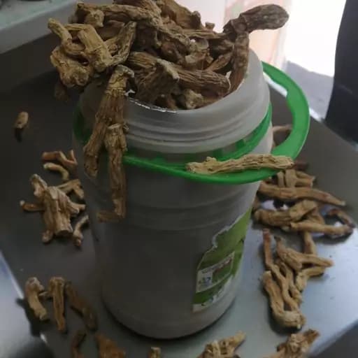 شقاقل 75 گرم — تصویر ۲