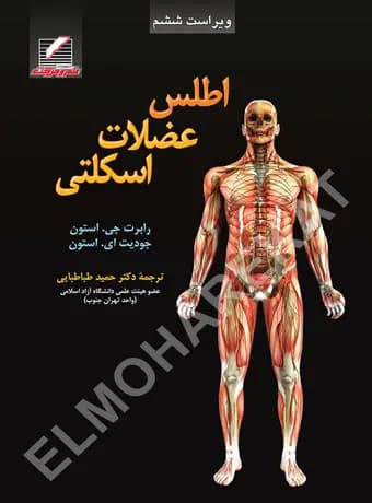 اطلس عضلات اسکلتی