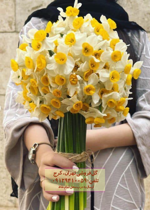 سبد گل نرگس خاص در گلفروشی لشگر غربی