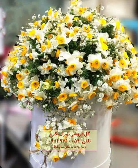 شاخه گل نرگس در گلفروشی درکه