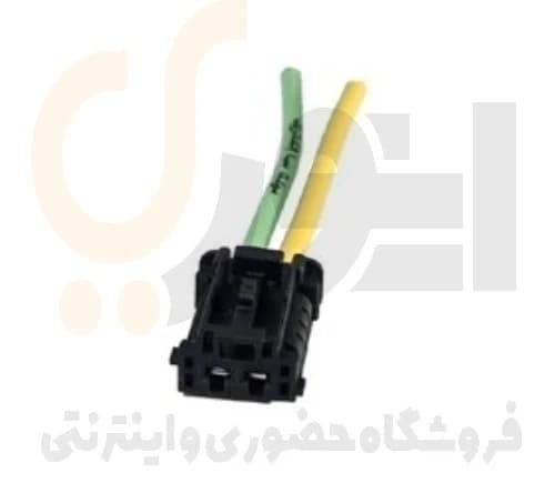 سوکت 2 دو فیش BSM پژو 206 سوکت سما الکتریک