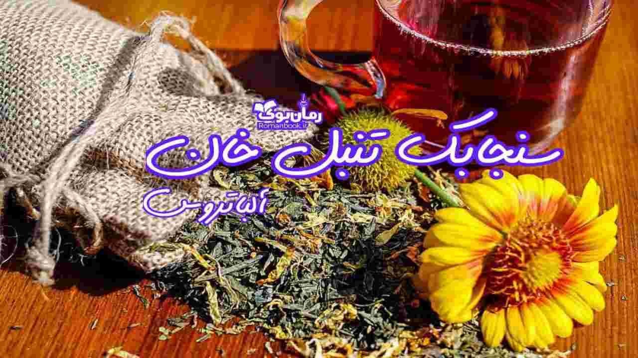 و دانلود نسخه کامل رمان سنجابک تنبل خان | رمان عاشقانه | رمان بزرگسال | رمان اجتماعی