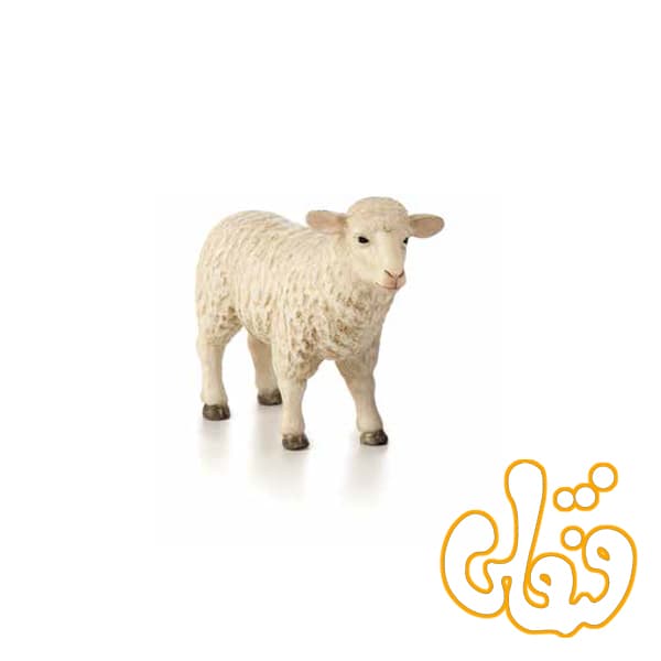 گوسفند میش ماده 387096 Sheep Ewe