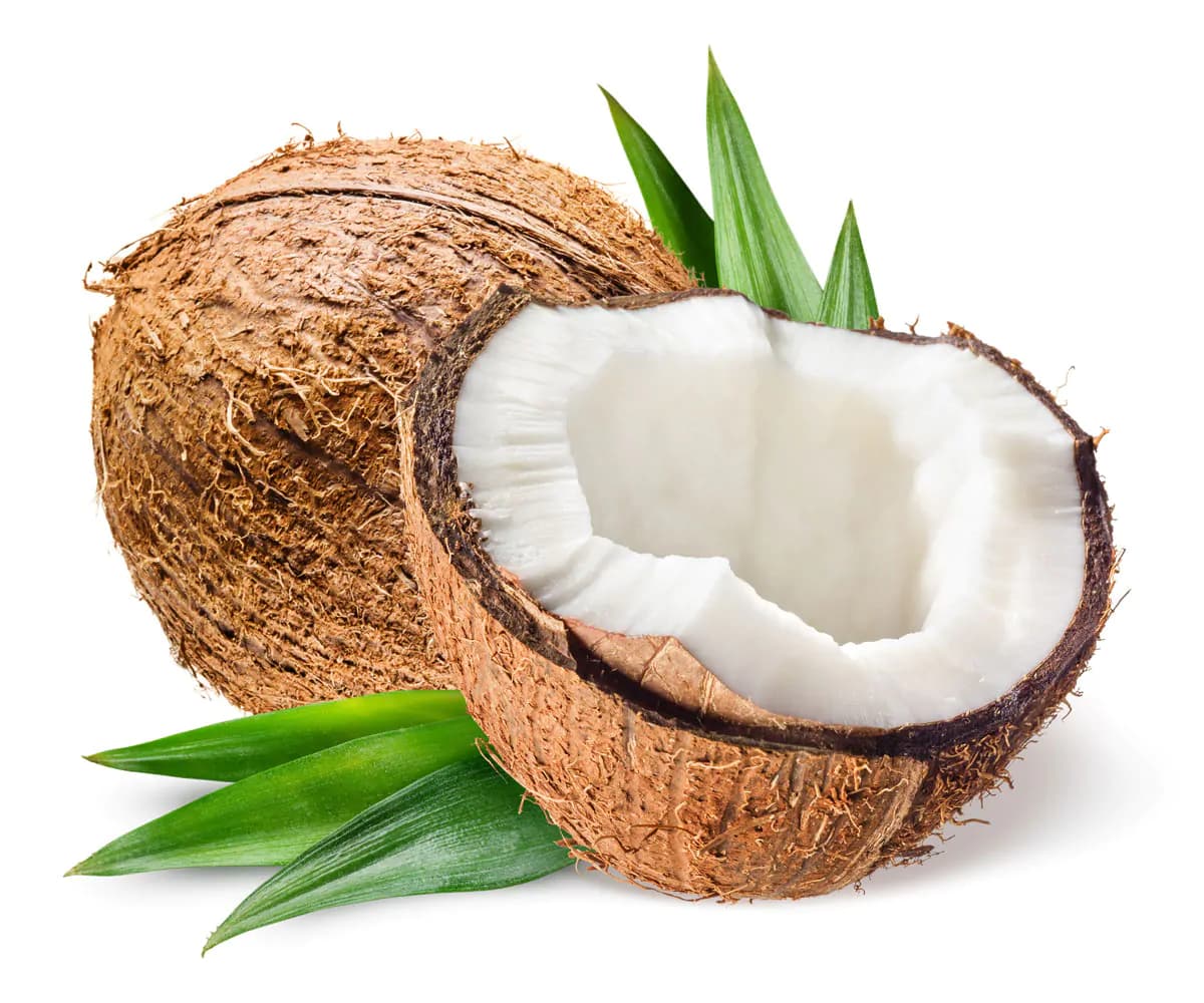 عکس نارگیل برش خورده