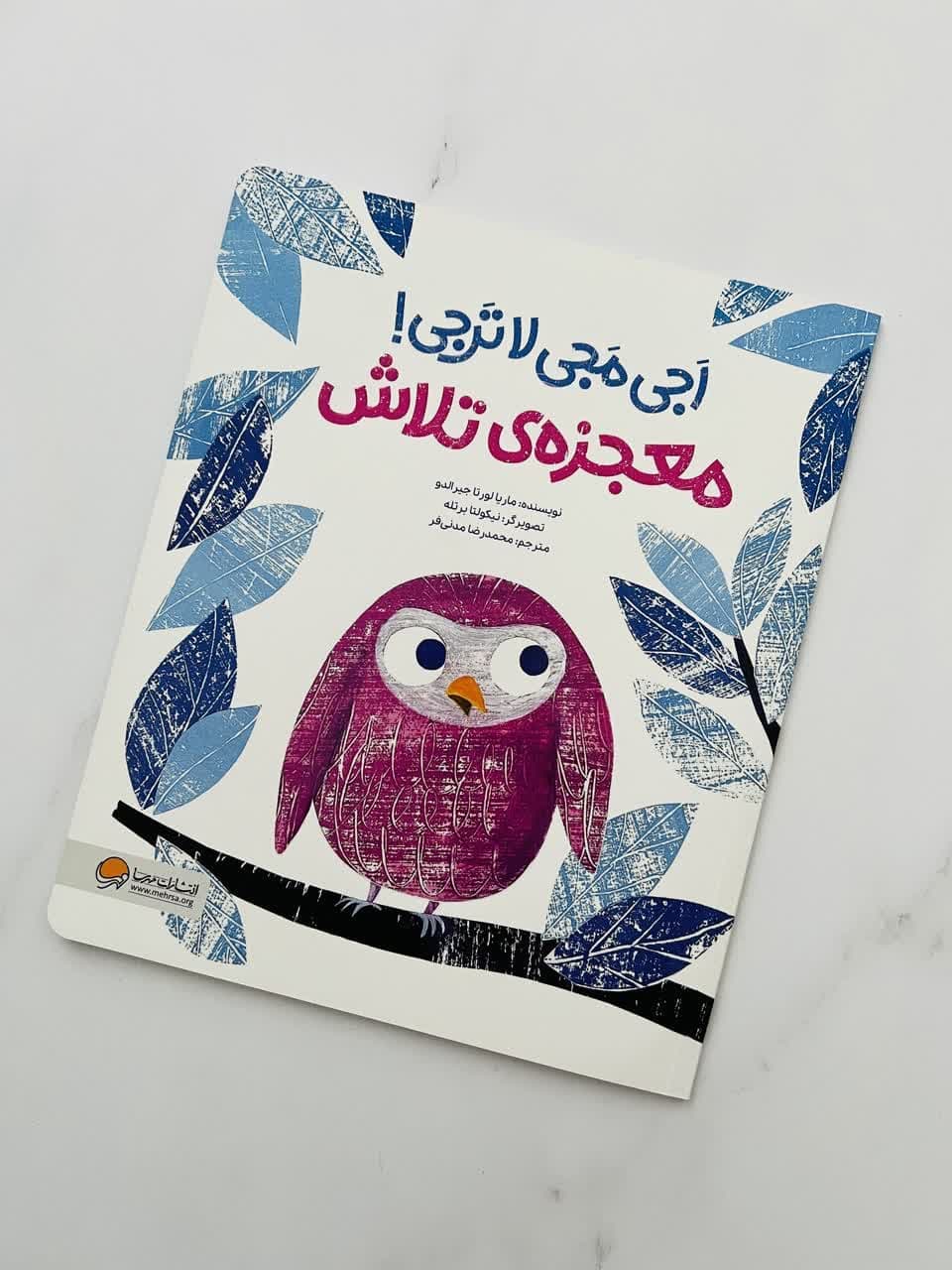 اجی مجی لاترجی (معجزه تلاش) مهرسا — تصویر ۲