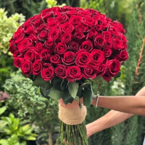 فروشگاه گل و گیاه و گلدان بلوار قیطریه 6878