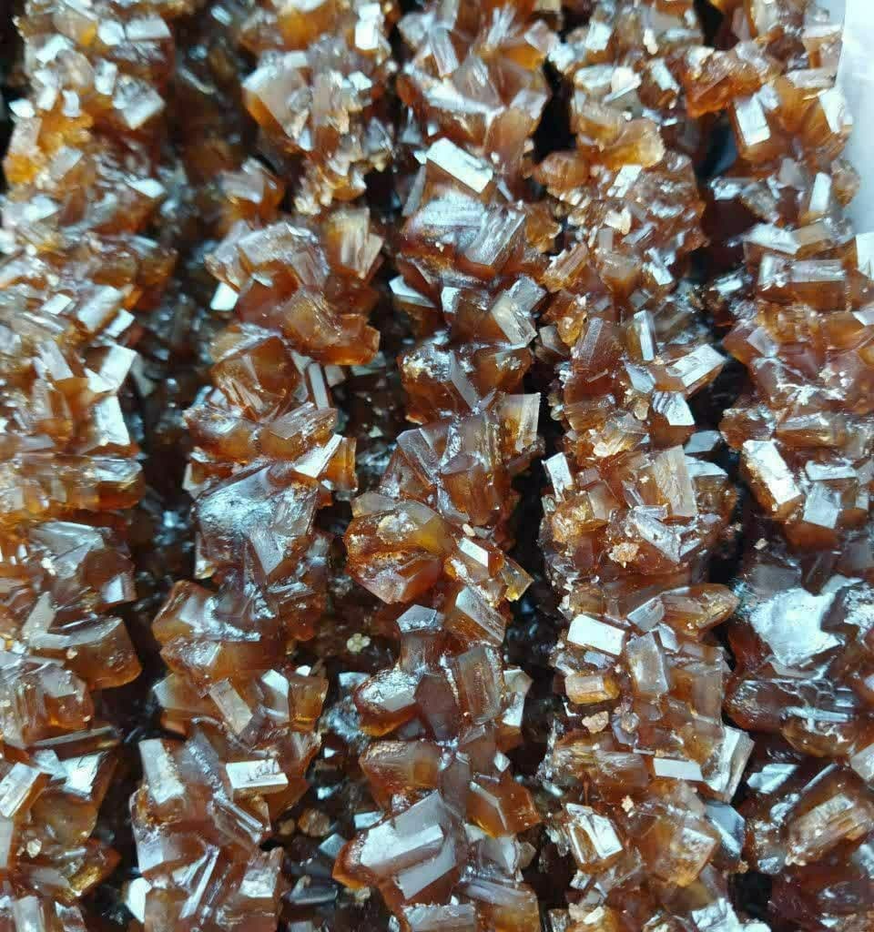 نبات قهوه ای نیشکری شاخه (600 گرم) — تصویر ۲
