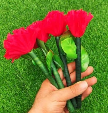 شعبده گل غیب کن