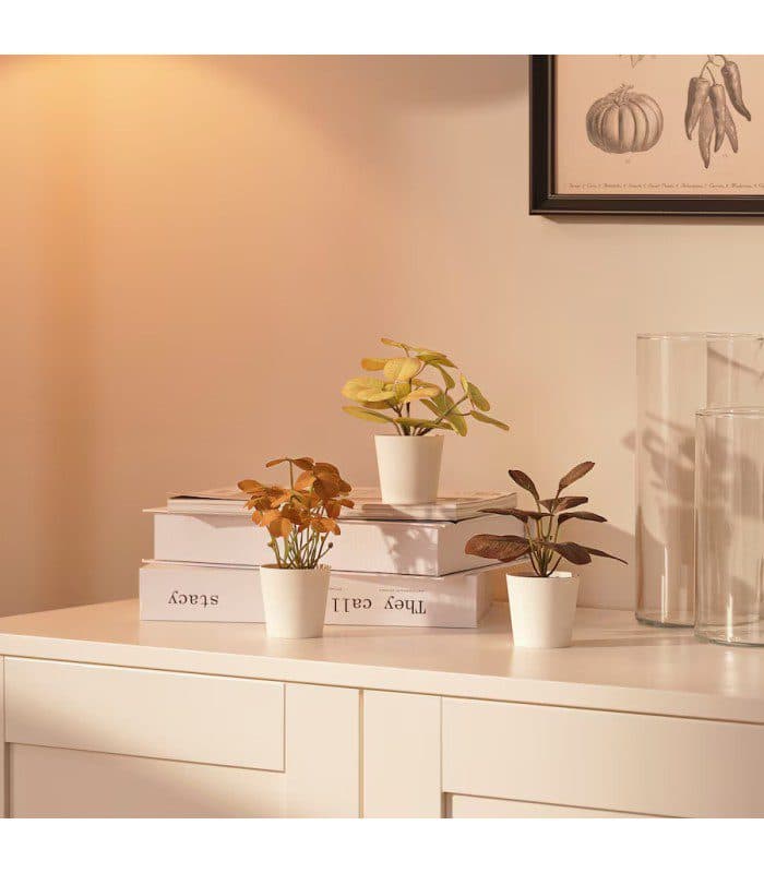 ست ۳ تایی بوته پاییزی ایکیا مدل IKEA-FEJKA — تصویر ۲