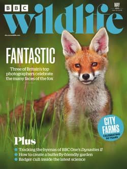 مجله BBC Wildlife؛ می 2022