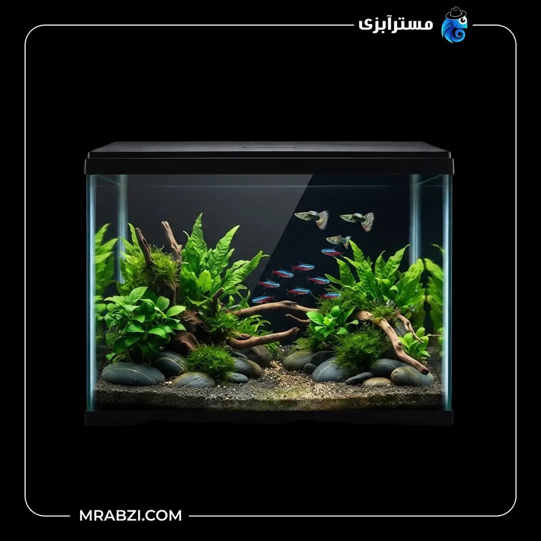 آکواریوم دلسا k580 بدون پایه