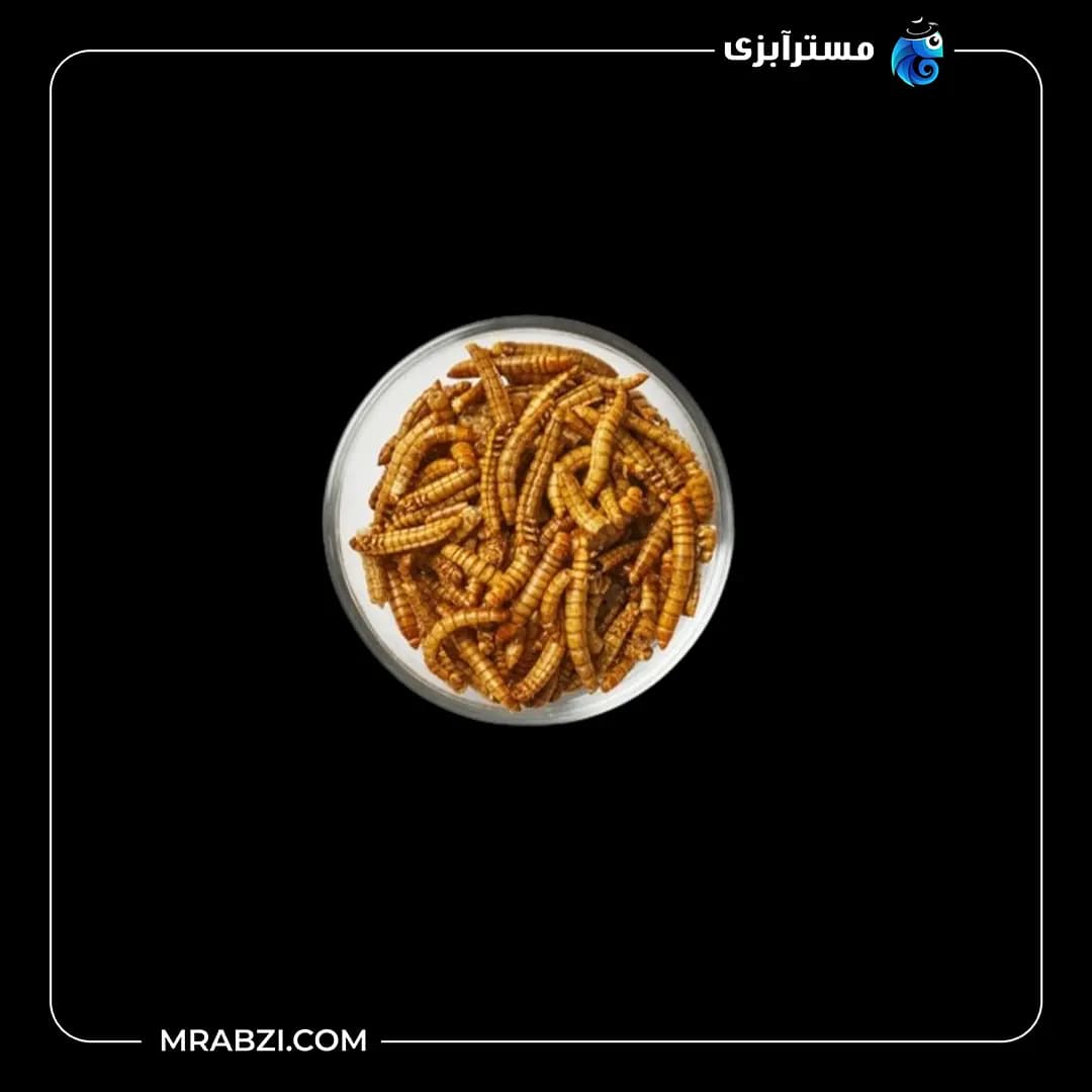 غذا کرم میلورم خشک بسته 100 گرمی