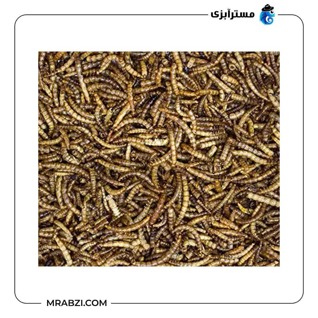 غذا کرم میلورم خشک بسته 100 گرمی — تصویر ۲