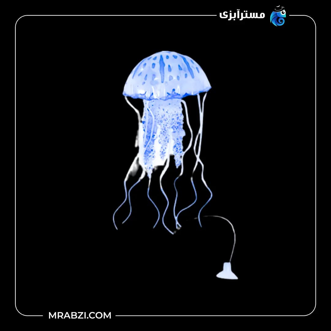 عروس دریایی بزرگ